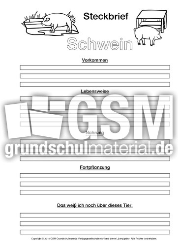 Schwein-Steckbriefvorlage-sw.pdf